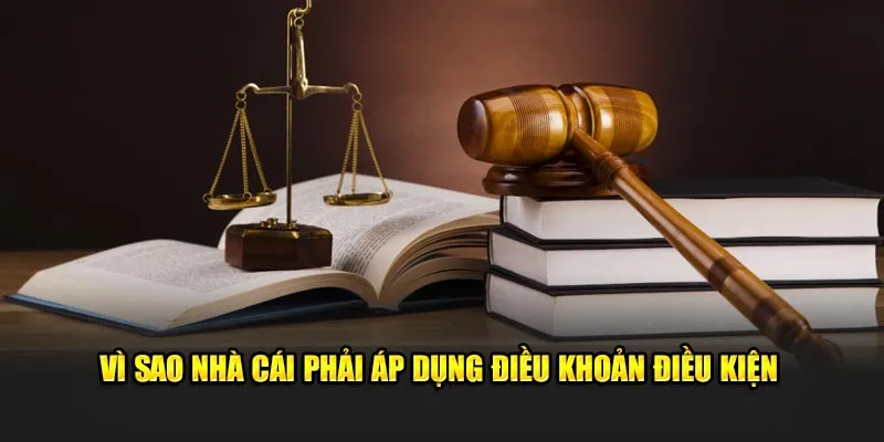 Vì sao nhà cái phải áp dụng điều khoản điều kiện
